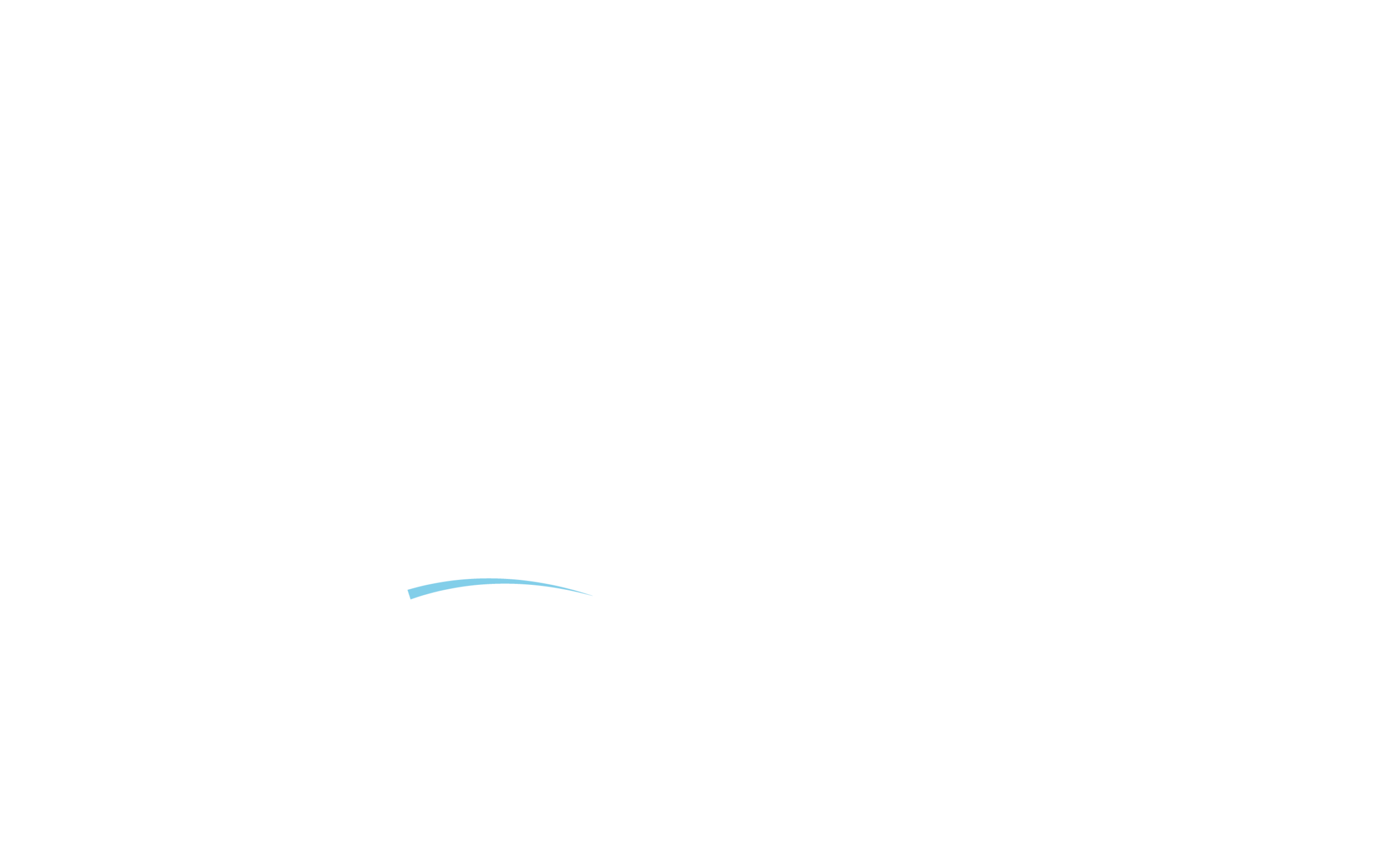 Logo-site-neg